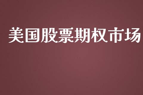 美国股票期权市场_https://wap.qdlswl.com_理财投资_第1张