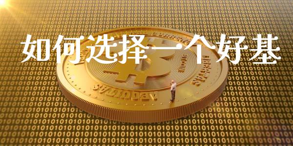 如何选择一个好基_https://wap.qdlswl.com_证券新闻_第1张