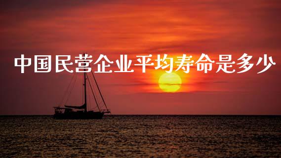 中国民营企业平均寿命是多少_https://wap.qdlswl.com_全球经济_第1张