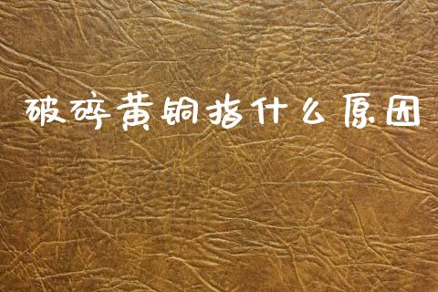 破碎黄铜指什么原因_https://wap.qdlswl.com_证券新闻_第1张