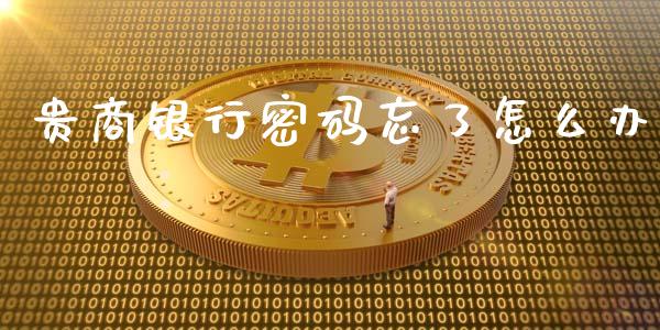 贵商银行密码忘了怎么办_https://wap.qdlswl.com_全球经济_第1张