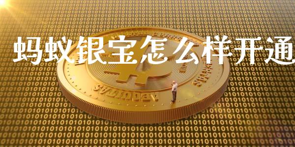 蚂蚁银宝怎么样开通_https://wap.qdlswl.com_理财投资_第1张