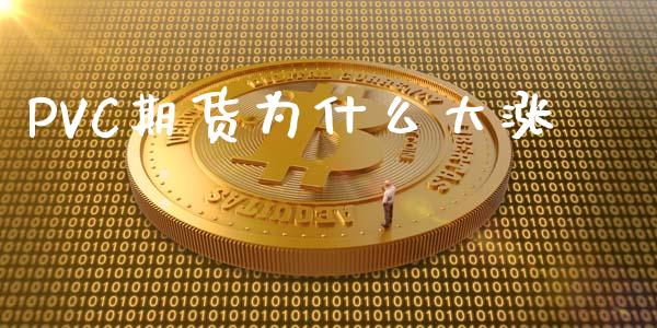 PVC期货为什么大涨_https://wap.qdlswl.com_全球经济_第1张