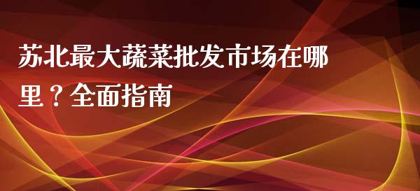 苏北最大蔬菜批发市场在哪里？全面指南_https://wap.qdlswl.com_理财投资_第1张
