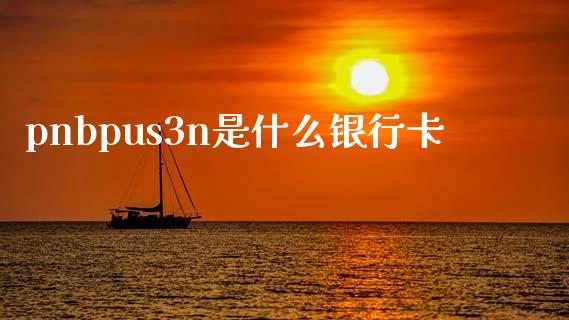 pnbpus3n是什么银行卡_https://wap.qdlswl.com_证券新闻_第1张