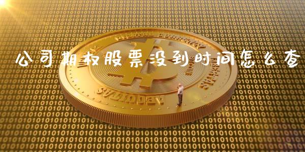 公司期权股票没到时间怎么查_https://wap.qdlswl.com_全球经济_第1张