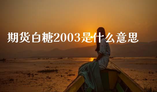 期货白糖2003是什么意思_https://wap.qdlswl.com_财经资讯_第1张