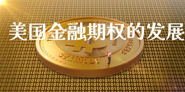 美国金融期权的发展_https://wap.qdlswl.com_财经资讯_第1张