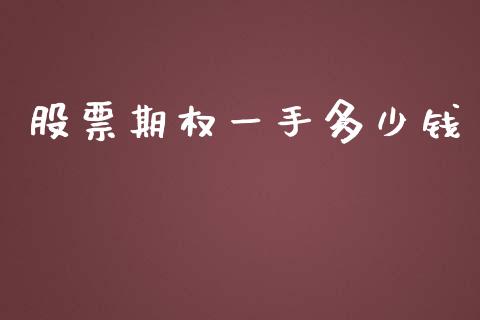 股票期权一手多少钱_https://wap.qdlswl.com_理财投资_第1张