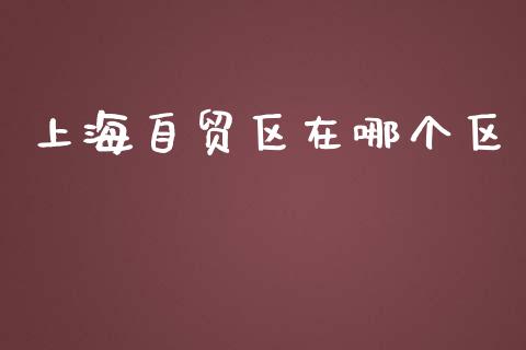 上海自贸区在哪个区_https://wap.qdlswl.com_理财投资_第1张