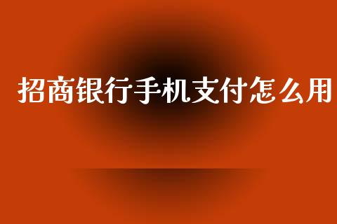 招商银行手机支付怎么用_https://wap.qdlswl.com_全球经济_第1张