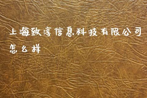 上海致淳信息科技有限公司怎么样_https://wap.qdlswl.com_全球经济_第1张