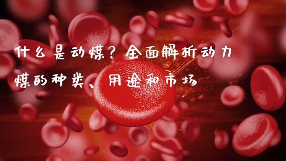 什么是动煤？全面解析动力煤的种类、用途和市场_https://wap.qdlswl.com_证券新闻_第1张