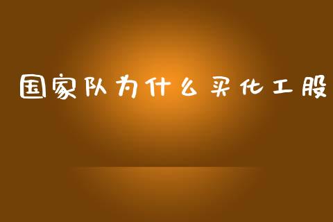 国家队为什么买化工股_https://wap.qdlswl.com_全球经济_第1张