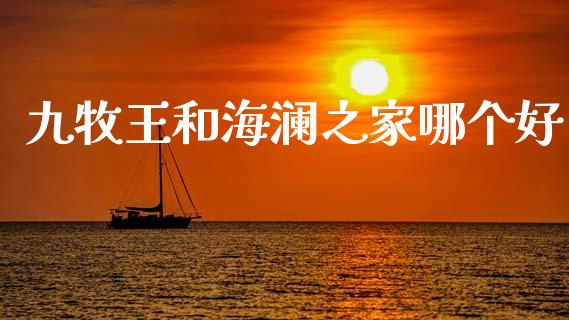 九牧王和海澜之家哪个好_https://wap.qdlswl.com_证券新闻_第1张