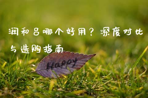 润和吕哪个好用？深度对比与选购指南_https://wap.qdlswl.com_理财投资_第1张
