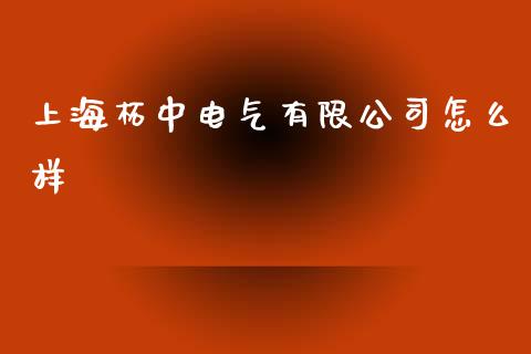 上海柘中电气有限公司怎么样_https://wap.qdlswl.com_财经资讯_第1张