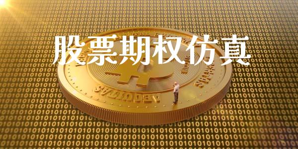 股票期权仿真_https://wap.qdlswl.com_理财投资_第1张