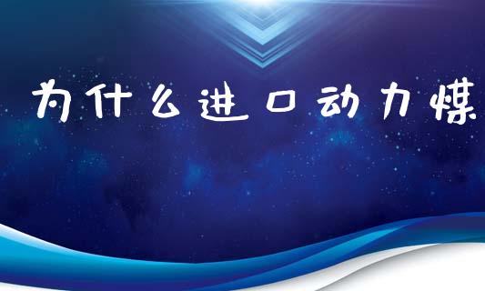 为什么进口动力煤_https://wap.qdlswl.com_全球经济_第1张