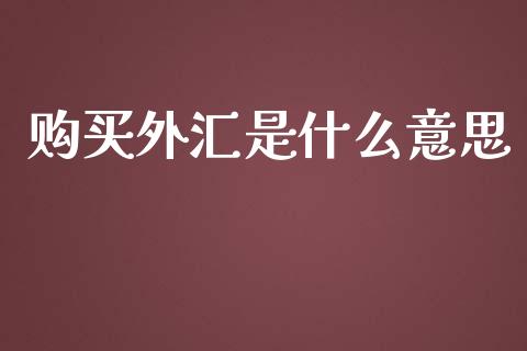 购买外汇是什么意思_https://wap.qdlswl.com_财经资讯_第1张