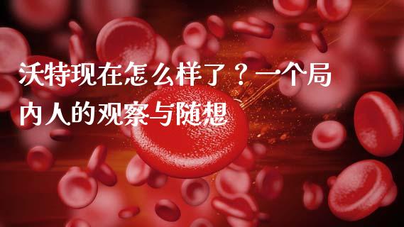 沃特现在怎么样了？一个局内人的观察与随想_https://wap.qdlswl.com_理财投资_第1张