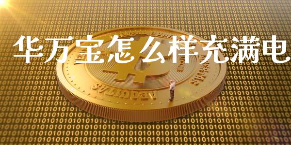 华万宝怎么样充满电_https://wap.qdlswl.com_理财投资_第1张