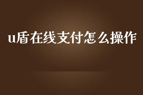 u盾在线支付怎么操作_https://wap.qdlswl.com_理财投资_第1张