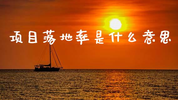 项目落地率是什么意思_https://wap.qdlswl.com_全球经济_第1张