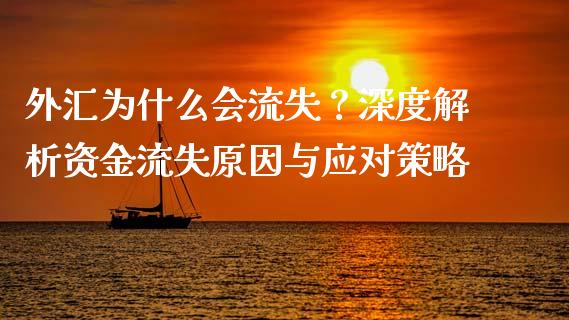外汇为什么会流失？深度解析资金流失原因与应对策略_https://wap.qdlswl.com_证券新闻_第1张