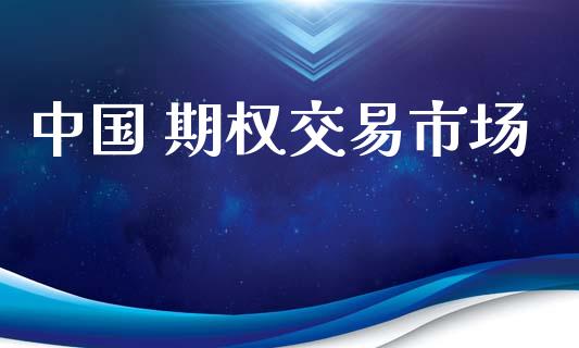 中国 期权交易市场_https://wap.qdlswl.com_理财投资_第1张