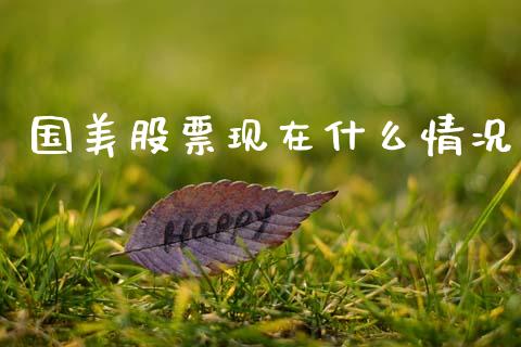国美股票现在什么情况_https://wap.qdlswl.com_证券新闻_第1张