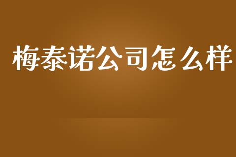 梅泰诺公司怎么样_https://wap.qdlswl.com_全球经济_第1张