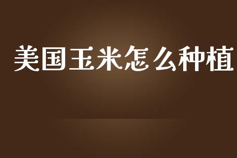 美国玉米怎么种植_https://wap.qdlswl.com_理财投资_第1张