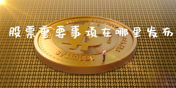 股票重要事项在哪里发布_https://wap.qdlswl.com_财经资讯_第1张