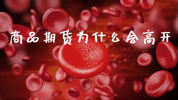 商品期货为什么会高开_https://wap.qdlswl.com_全球经济_第1张
