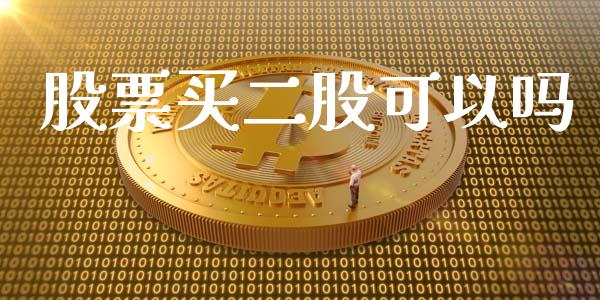 股票买二股可以吗_https://wap.qdlswl.com_理财投资_第1张