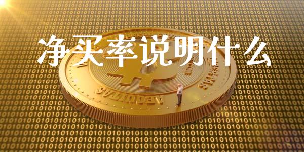 净买率说明什么_https://wap.qdlswl.com_证券新闻_第1张