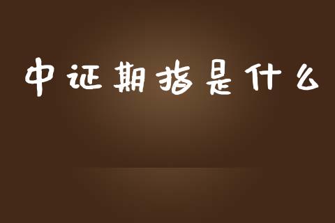 中证期指是什么_https://wap.qdlswl.com_证券新闻_第1张