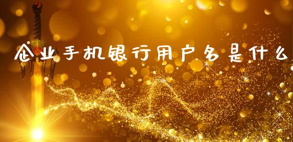 企业手机银行用户名是什么_https://wap.qdlswl.com_财经资讯_第1张