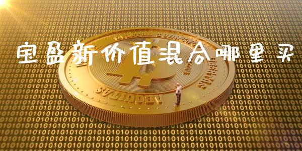 宝盈新价值混合哪里买_https://wap.qdlswl.com_财经资讯_第1张