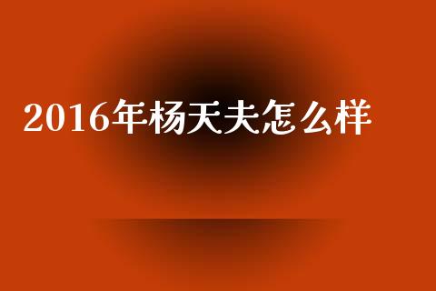 2016年杨天夫怎么样_https://wap.qdlswl.com_理财投资_第1张