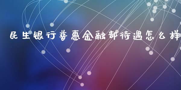 民生银行普惠金融部待遇怎么样_https://wap.qdlswl.com_理财投资_第1张