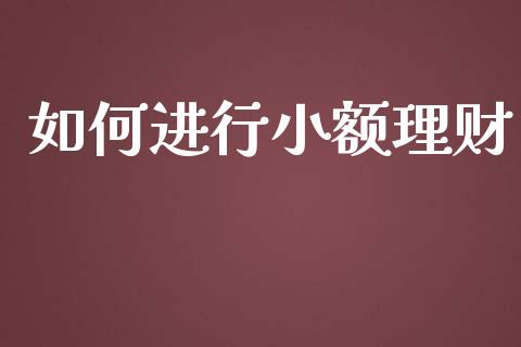 如何进行小额理财_https://wap.qdlswl.com_全球经济_第1张