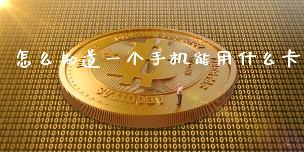 怎么知道一个手机能用什么卡_https://wap.qdlswl.com_理财投资_第1张