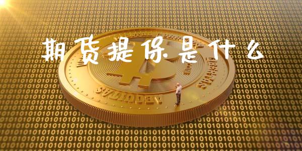 期货提保是什么_https://wap.qdlswl.com_财经资讯_第1张