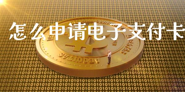 怎么申请电子支付卡_https://wap.qdlswl.com_理财投资_第1张