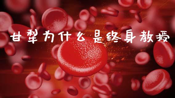 甘犁为什么是终身教授_https://wap.qdlswl.com_理财投资_第1张