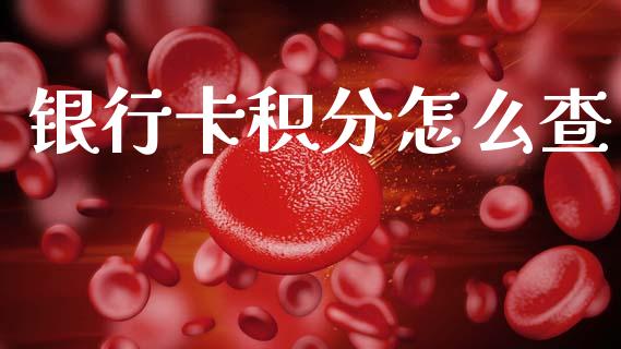 银行卡积分怎么查_https://wap.qdlswl.com_财经资讯_第1张