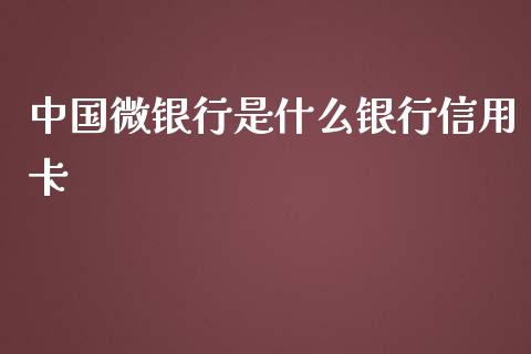 中国微银行是什么银行信用卡_https://wap.qdlswl.com_理财投资_第1张