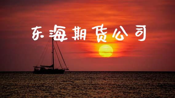 东海期货公司_https://wap.qdlswl.com_理财投资_第1张